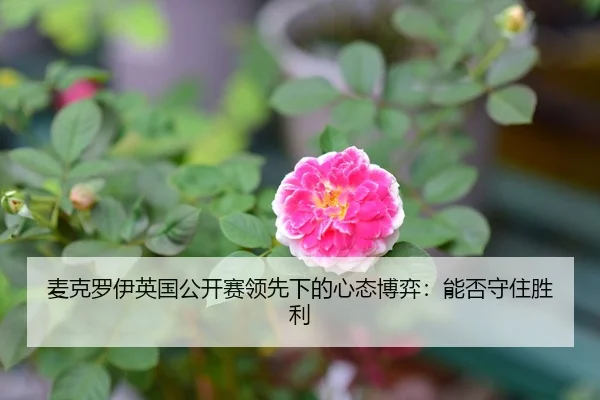 麦克罗伊英国公开赛领先下的心态博弈：能否守住胜利
